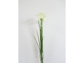 ED/"Aneto"Floare artificiala H48, White, 1 pcs