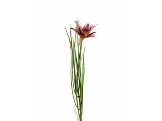 Floare artificiala "Cryptanthus" ,Pink ,H48,  1 bucata