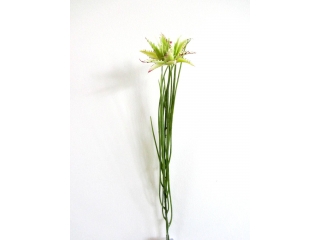 Floare artificiala "Cryptanthus" ,Light-Green ,H48,  1 bucata