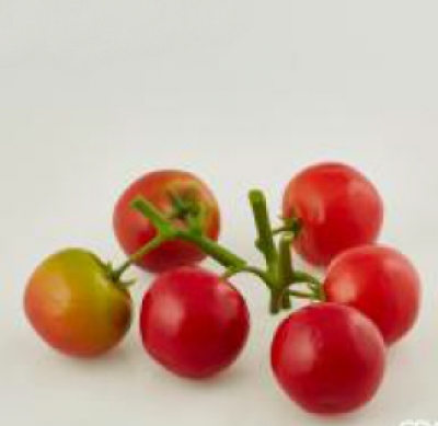 Ramura artificiala cu rosii, D06 cm,1 buc, Fructe artificiale , 