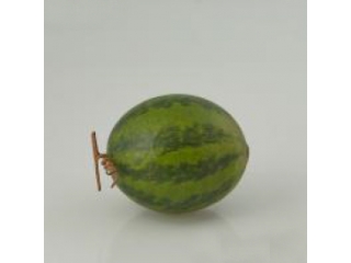 Fruct artificial "Pepene", H17 cm, D15 cm, 1 buc
