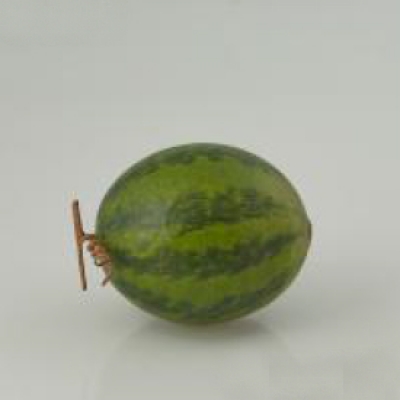 Fruct artificial "Pepene", H17 cm, D15 cm, 1 buc, Artificial fruits, 